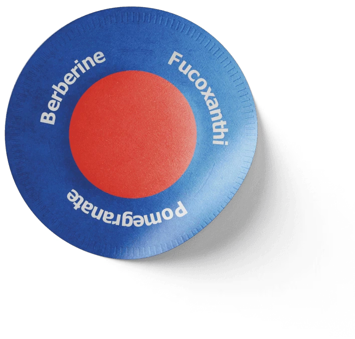 purisaki patches
