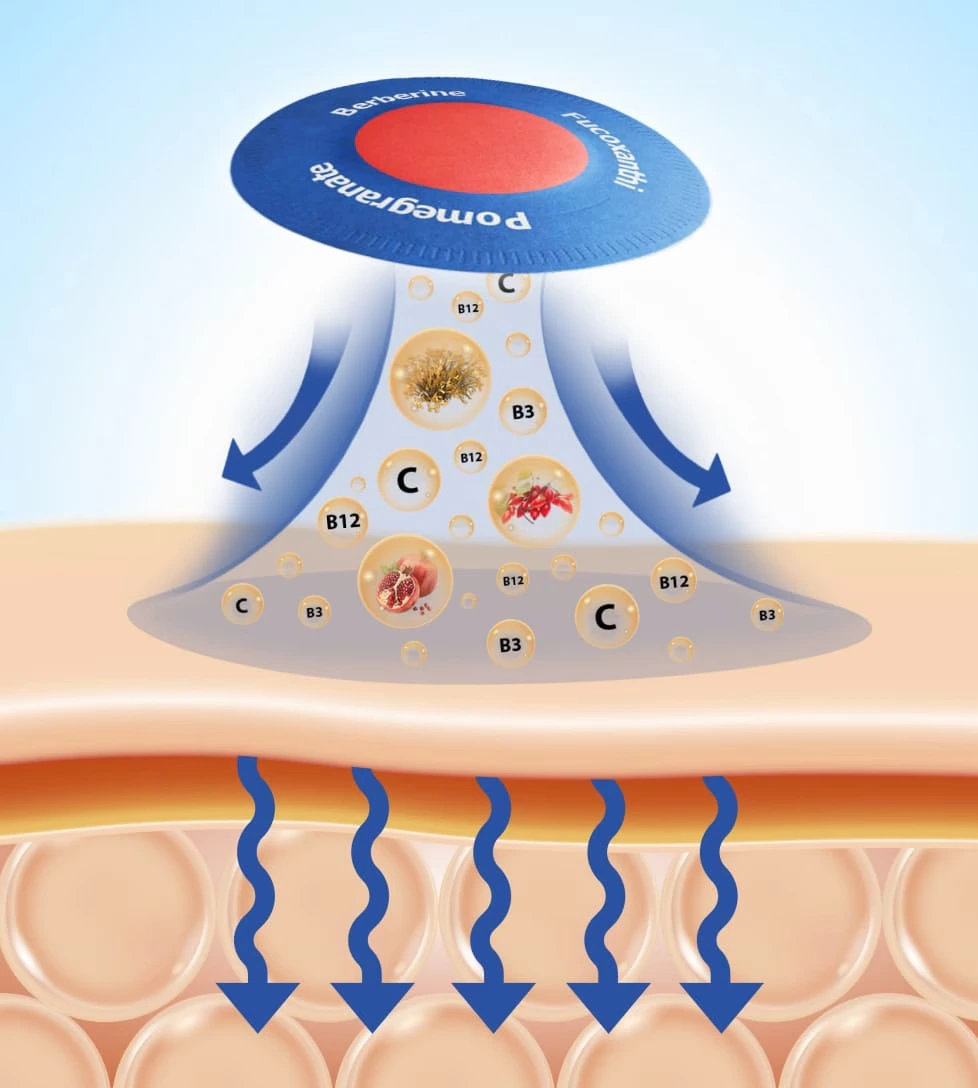 purisaki patches transdermal approach